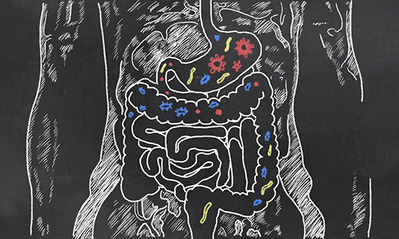 fibra: alimento de las bacterias buenas